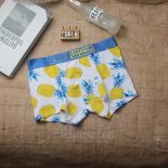 Boxer Cotton Wind Hombre Colorful Amarillo
