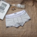 Boxer EF Hombre Rayas Gris