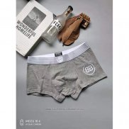 Boxer Balenciaga Hombre Gris