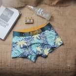 Boxer Cotton Wind Hombre Colorful Apagado Verde