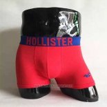 Boxer Hillster Hombre Rojo