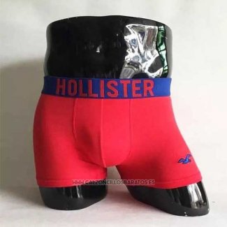 Boxer Hillster Hombre Rojo