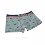 Boxer Lacoste Hombre Prints Colors Gris Verde