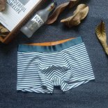 Boxer Concise Style Hombre Rayas Verde
